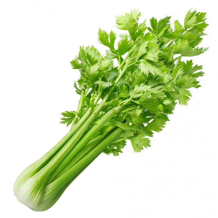 Céleri / Celery