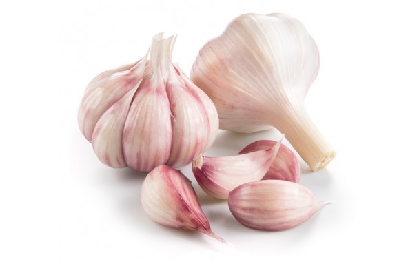 Ail / Garlic