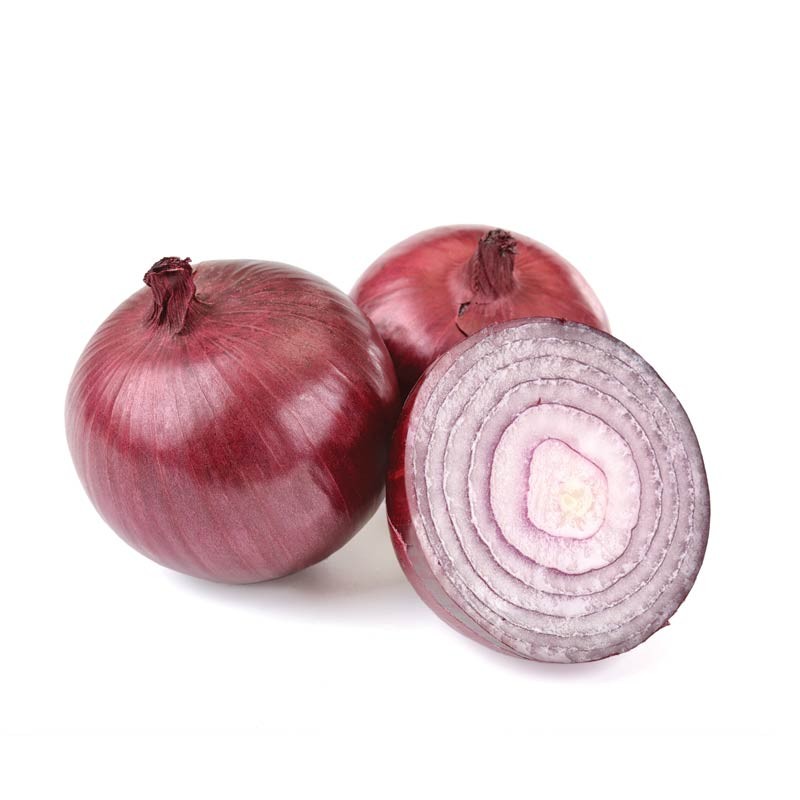 Oignons / Onions