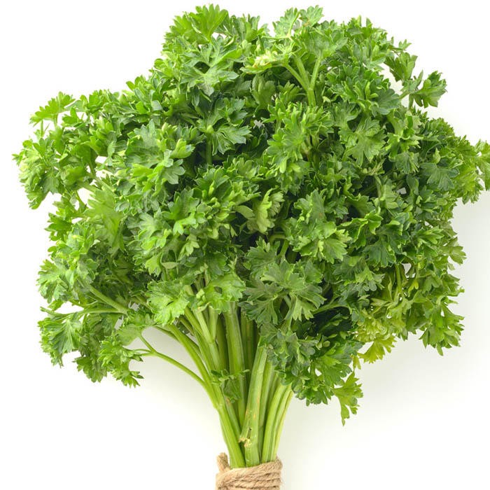 Persil / Parsley