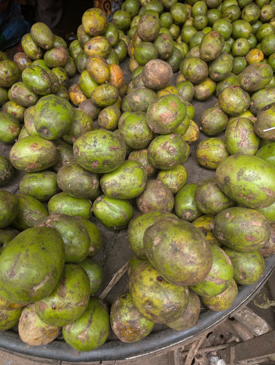 Mangue Cass / Cass Mango