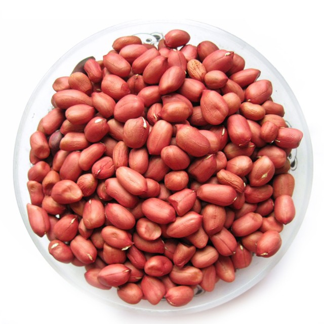 Arachides / Groundnuts